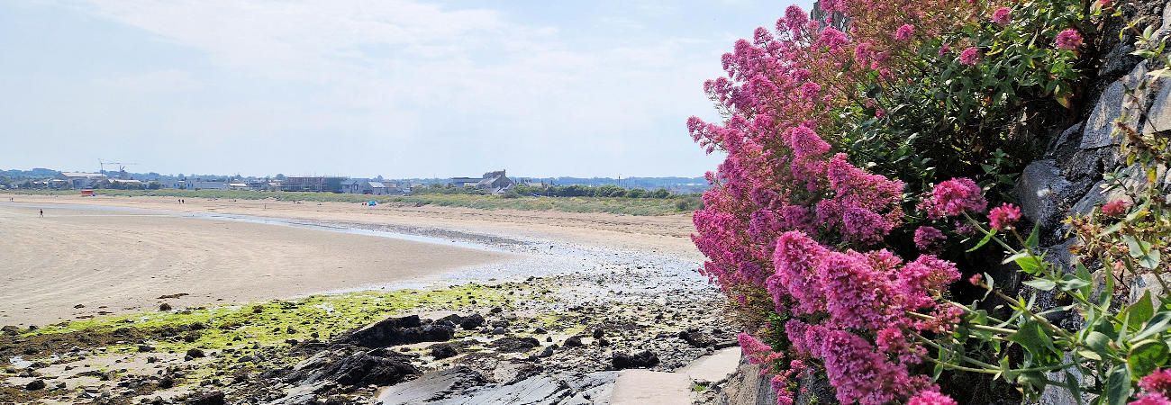 Skerries - South Beach